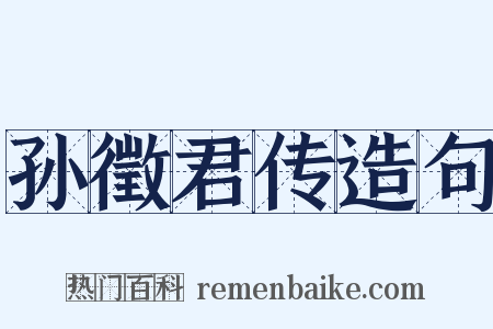 孙徵君传造句是什么意思的图片